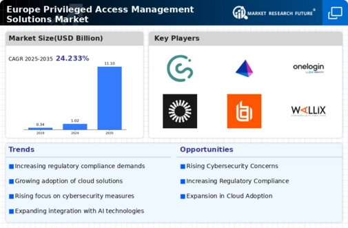 Europe Privileged Access Management Solutions Market Infographic