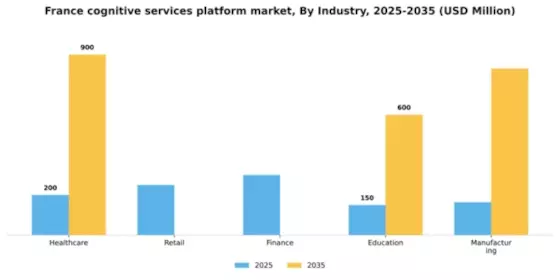 France Cognitive Services Platform Market Segment Image 2