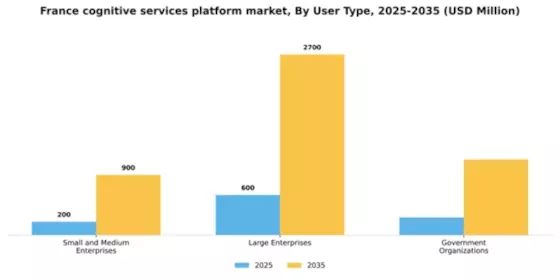 France Cognitive Services Platform Market Segment Image 3