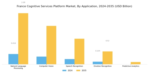 France Cognitive Services Platform Market Segment Image 0