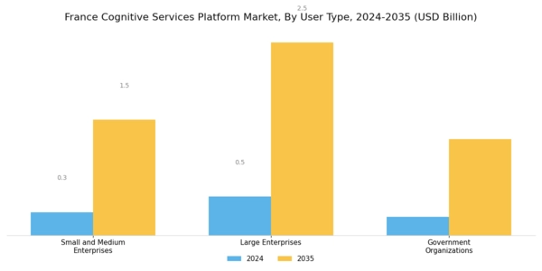 France Cognitive Services Platform Market Segment Image 3