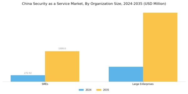 China Security As A Service Market Segment Image 2