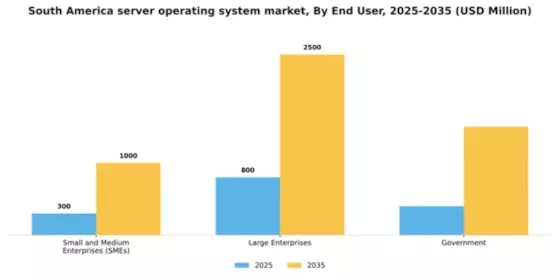 South America Server Operating System Market Segment Image 1