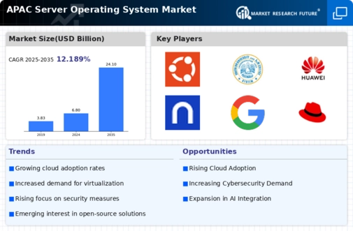 APAC Server Operating System Market Infographic