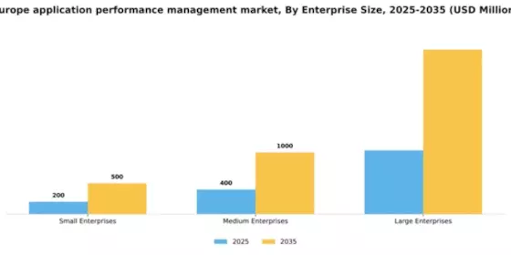 Europe Application Performance Management Market Segment Image 2