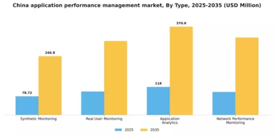 China Application Performance Management Market Segment Image 3