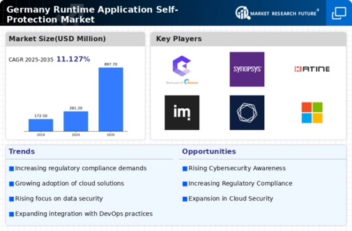 Germany Runtime Application Self Protection Market Infographic