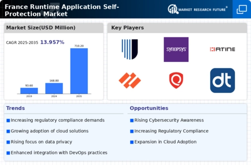 France Runtime Application Self Protection Market Infographic