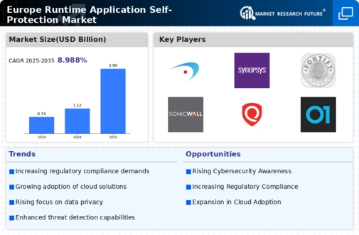 Europe Runtime Application Self Protection Market Infographic