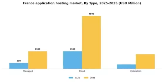 France Application Hosting Market Segment Image 2