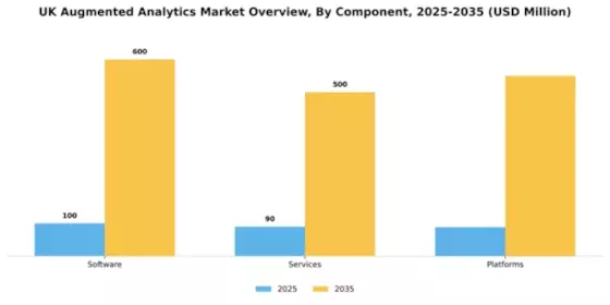 UK Augmented Analytics Market Segment Image 0
