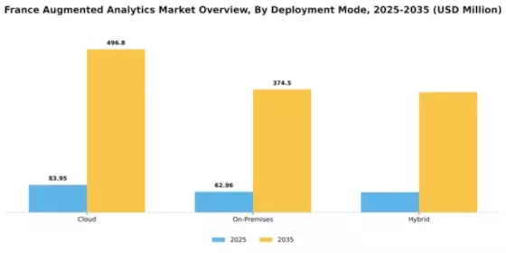 France Augmented Analytics Market Segment Image 1