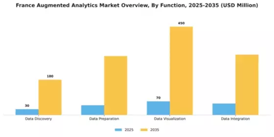 France Augmented Analytics Market Segment Image 3
