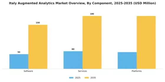 Italy Augmented Analytics Market Segment Image 0