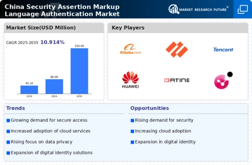 China Security Assertion Markup Language Authentication Market Infographic