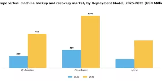 Europe Virtual Machine Backup Recovery Market Segment Image 0