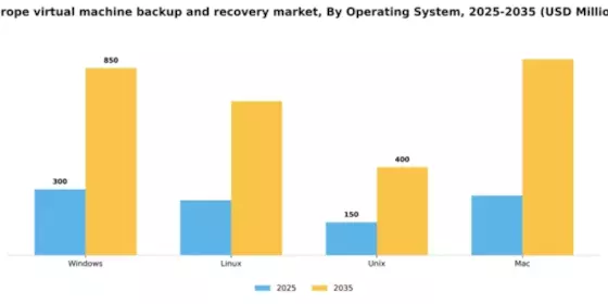 Europe Virtual Machine Backup Recovery Market Segment Image 2
