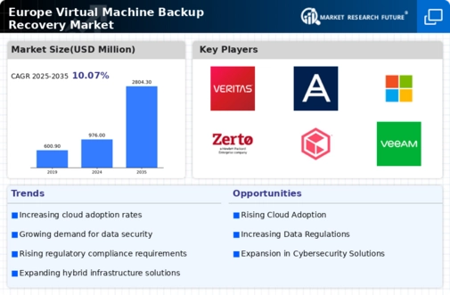Europe Virtual Machine Backup Recovery Market Infographic