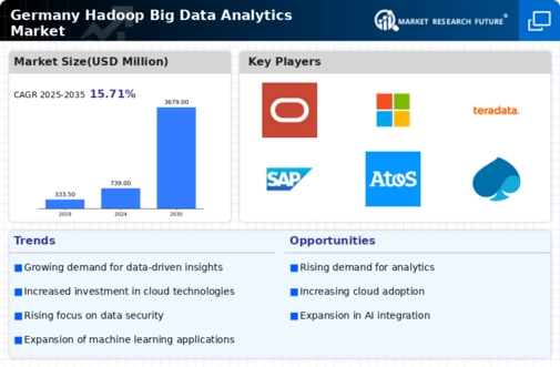 Germany Hadoop Big Data Analytics Market Infographic
