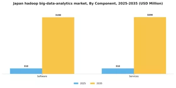 Japan Hadoop Big Data Analytics Market Segment Image 1