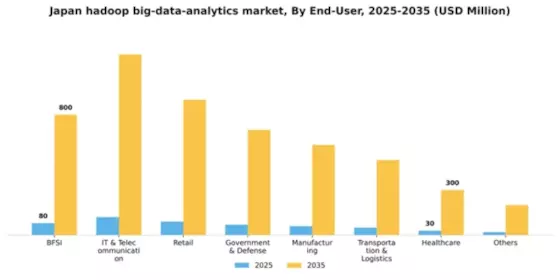 Japan Hadoop Big Data Analytics Market Segment Image 2