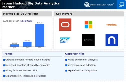 Japan Hadoop Big Data Analytics Market Infographic