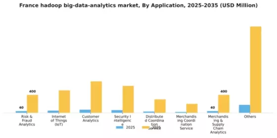 France Hadoop Big Data Analytics Market Segment Image 0