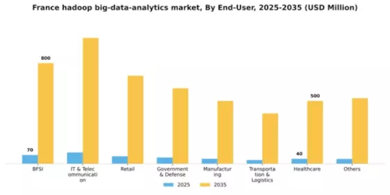 France Hadoop Big Data Analytics Market Segment Image 2