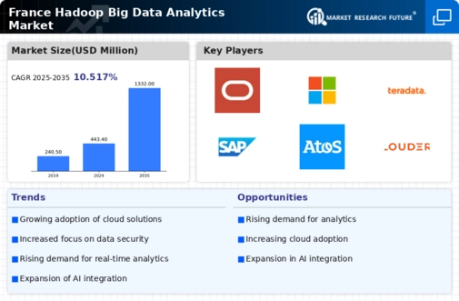 France Hadoop Big Data Analytics Market Infographic