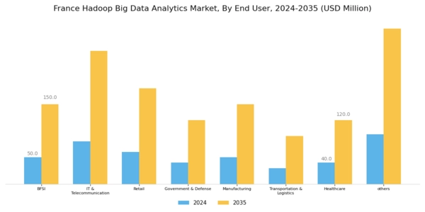 France Hadoop Big Data Analytics Market Segment Image 2