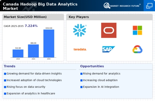 Canada Hadoop Big Data Analytics Market Infographic