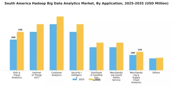 South America Hadoop Big Data Analytics Market Segment Image 0