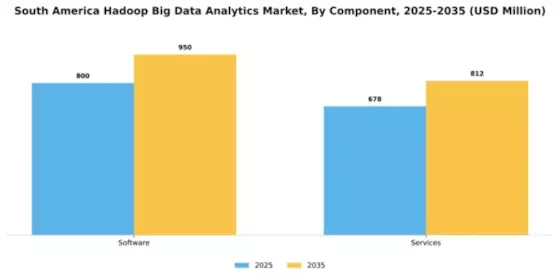 South America Hadoop Big Data Analytics Market Segment Image 1