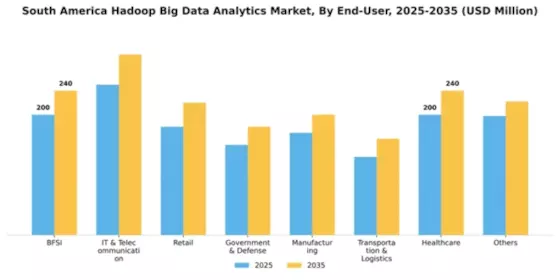 South America Hadoop Big Data Analytics Market Segment Image 2