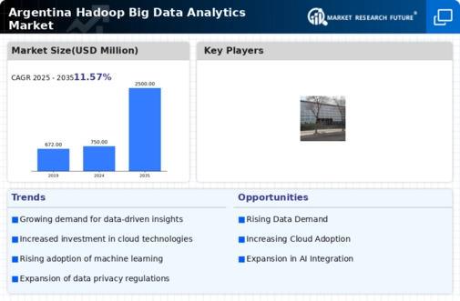 Argentina Hadoop Big Data Analytics Market Infographic