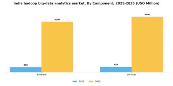 India Hadoop Big Data Analytics Market Segment Image 1