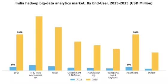 India Hadoop Big Data Analytics Market Segment Image 2