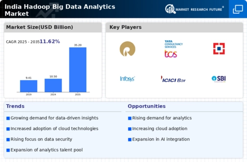 India Hadoop Big Data Analytics Market Infographic