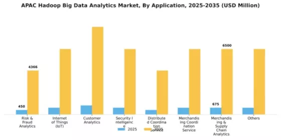 APAC Hadoop Big Data Analytics Market Segment Image 0
