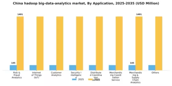 China Hadoop Big Data Analytics Market Segment Image 0