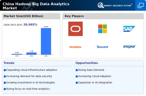 China Hadoop Big Data Analytics Market Infographic