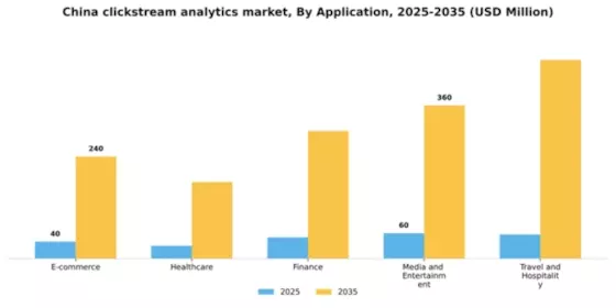 China Clickstream Analytics Market Segment Image 0