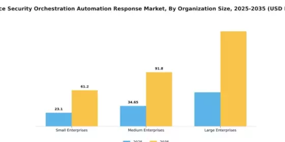 France Security Orchestration Automation Response Market Segment Image 3