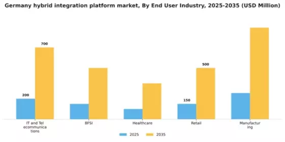 Germany Hybrid Integration Platform Market Segment Image 1