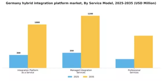 Germany Hybrid Integration Platform Market Segment Image 3