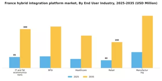 France Hybrid Integration Platform Market Segment Image 1
