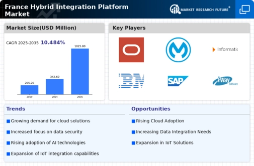 France Hybrid Integration Platform Market Infographic