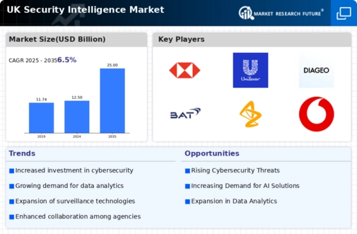 UK Security Intelligence Market Infographic