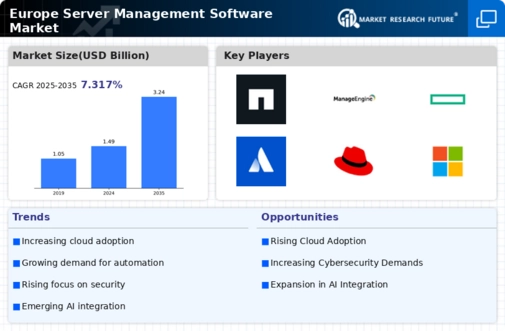 Europe Server Management Software Market Infographic