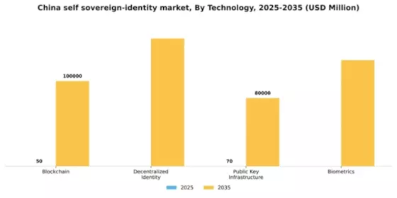 China Self Sovereign Identity Market Segment Image 3
